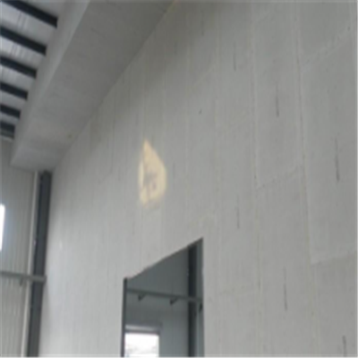 新建宁波ALC板|EPS加气板隔墙与混凝土整浇联接的实验研讨